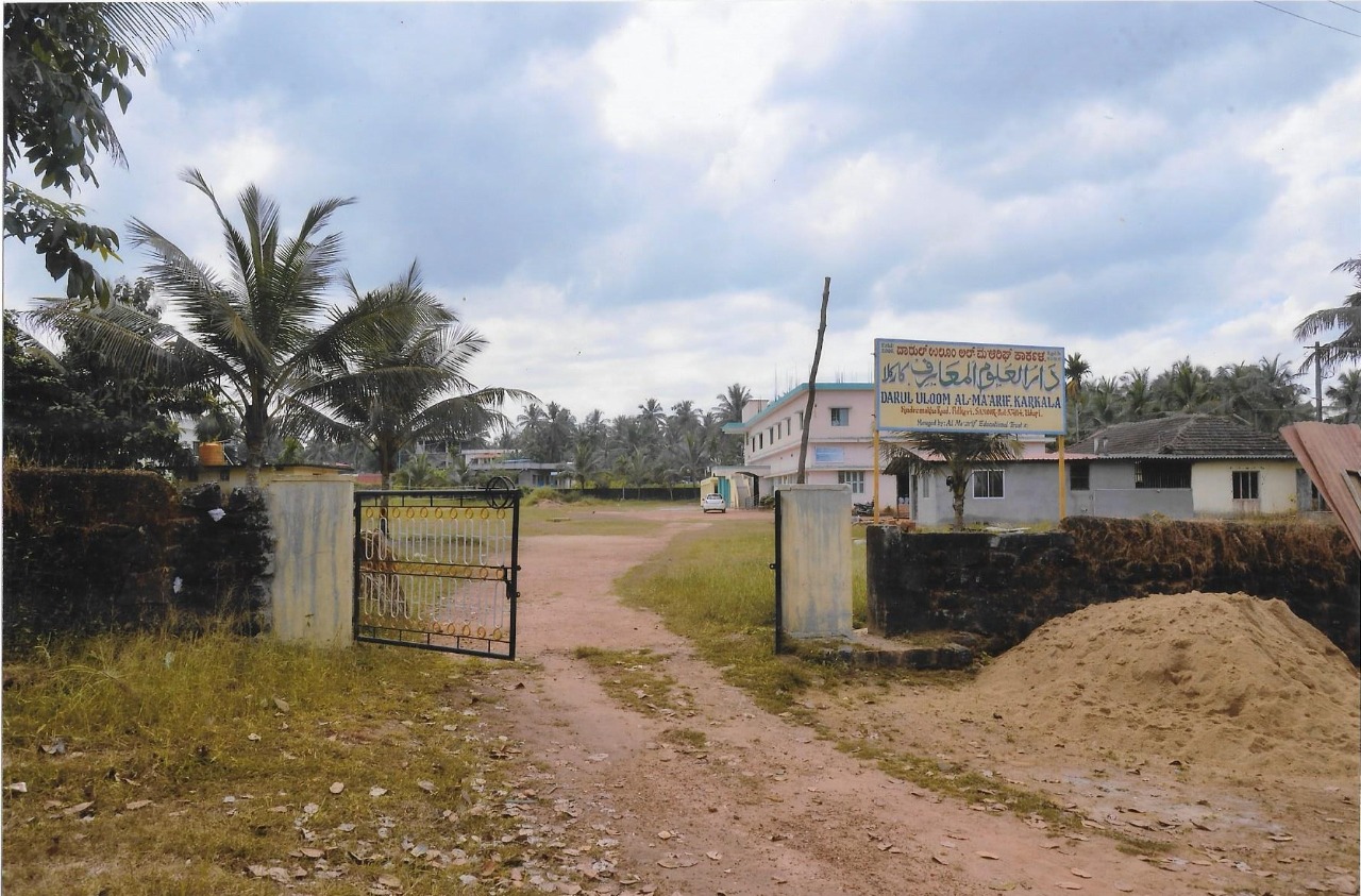 Gallery image 11